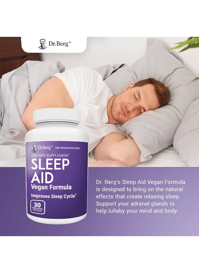 Dr. Berg Nutritionals - Dr. Berg Sleep Aid Vegan Formula - Image 1
