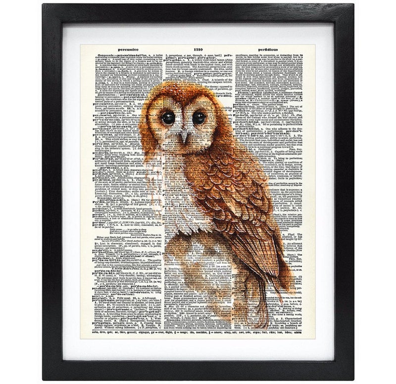 Susie Arts 8X10 Unframed Baby Owl Upcycled Vintage Dictionary Art Print Book Art Print Home Decor Funny Art Print Kids Wall Art V074 - Image 5