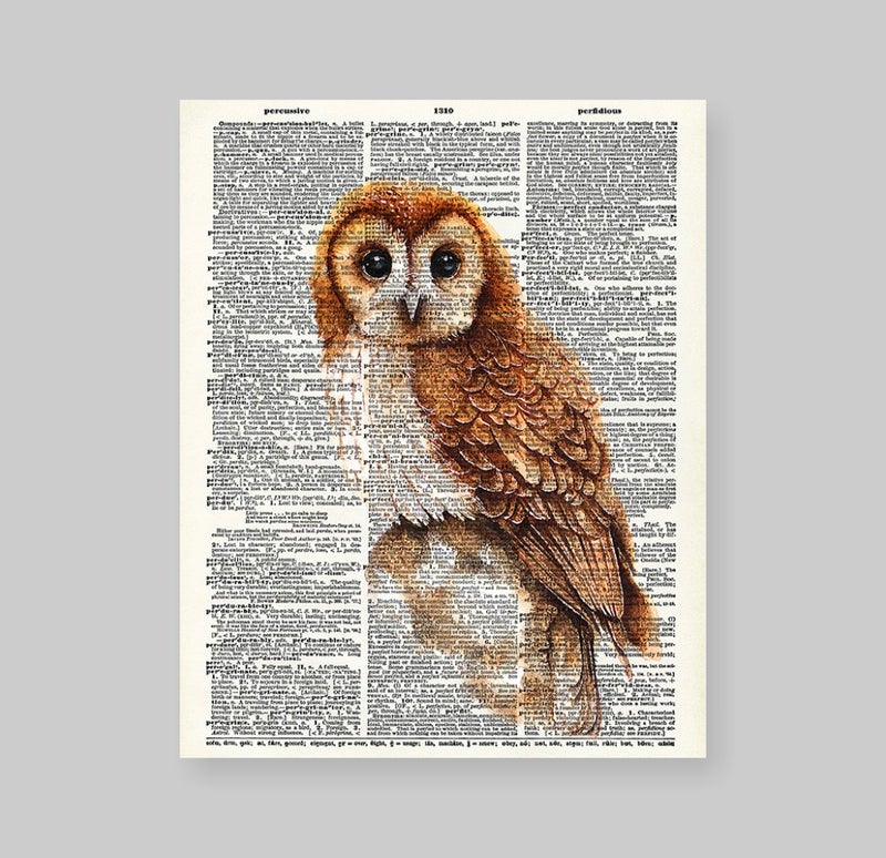 Susie Arts 8X10 Unframed Baby Owl Upcycled Vintage Dictionary Art Print Book Art Print Home Decor Funny Art Print Kids Wall Art V074 - Image 2
