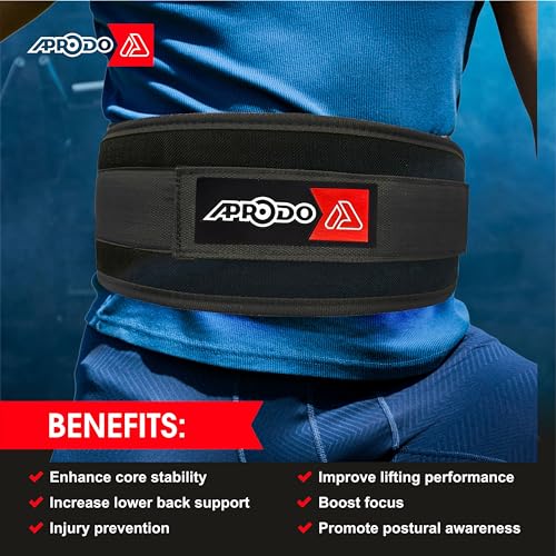 Aprodo Multipurpose Weight Lifting Belt for Back Support Comfortable & Durable for Weightlifting, Gym, Workout - 100% Nylon, (4 Inch Wide) for Men and Women (Black, Large 36'' - 40'') - Image 2