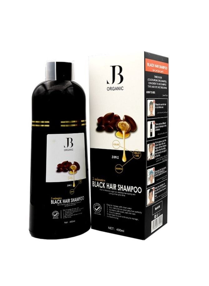 JB Argan Oil Hair color Shampoo Natural Black  400 ML - pzsku/Z41FC5FA83D659DBBE70FZ/45/_/1691430721/46cc8017-cc85-4181-a5a3-31939fb00431