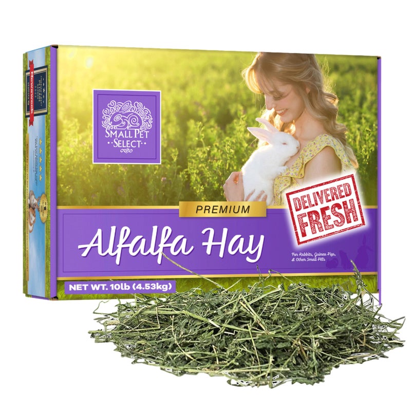 Small Pet Select Alfalfa Hay Pet Food for Young Rabbits Guinea Pigs Chinchillas Tortoises and Other Small Animals Easy to Store Box 10 LB