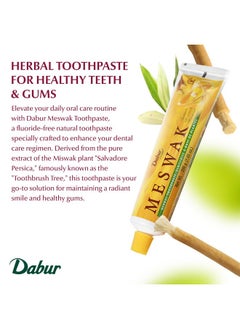 Dabur Meswak Toothpaste - Fluoride Free Toothpaste, Natural Toothpaste For Oral & Gum Health, Toothpaste For Dental Care. Natural Toothpaste With Miswak Essence, Daily Toothpaste For Oral Care  - Image 2