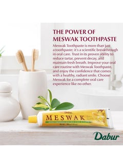 Dabur Meswak Toothpaste - Fluoride Free Toothpaste, Natural Toothpaste For Oral & Gum Health, Toothpaste For Dental Care. Natural Toothpaste With Miswak Essence, Daily Toothpaste For Oral Care  - Image 3