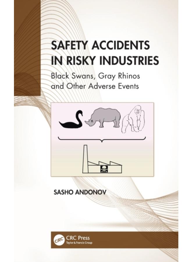Safety Accidents in Risky Industries : Black Swans, Gray Rhinos and Other Adverse Events