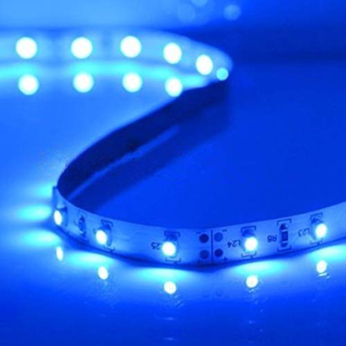 XINKAITE Waterproof Blue Led Strip Lights 16.4 Ft 300leds 60LEDs/m White Flexible Tape Lighting Tape Lights for Boats, Bathroom,Mirror,Ceiling and Outdoor (No Included 12V Power Plug/Adapter) - Image 3
