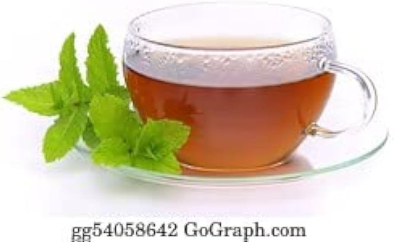 بذور النعناع عالية الجودة - نسبة إنبات 95% - مصنوعة في إسبانيا - Image 3