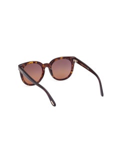 TOM FORD Women's Butterfly Shape Acetate Sunglasses FT110952H53 Lens Size: 53 Millimeter - Dark Havana  - Image 5