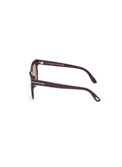 TOM FORD Women's Butterfly Shape Acetate Sunglasses FT110952H53 Lens Size: 53 Millimeter - Dark Havana  - Image 4