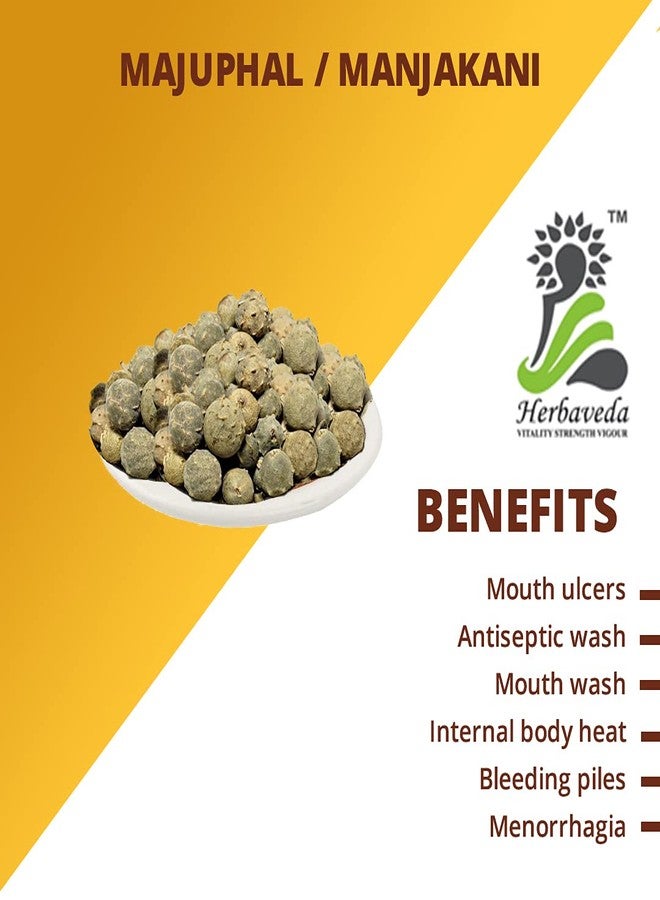 LEANBEING Herbaveda - Whole Masikai | Majuphal | Oak Gall | Manjakani | Quercus Infectoria | Majuphal | Manjakani (Weight-100g) - Image 2