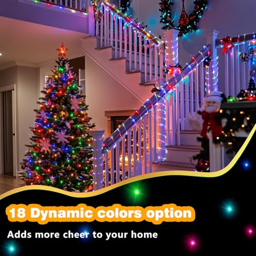GLPE LED Rope Lights Indoor with USB Powered, 66Ft (33Ft X 2 Pack) 200 LED String Lights Outdoor with Remote,16 Color Changing Rope Lights for Outside Garden Party Wedding Christmas - Image 2