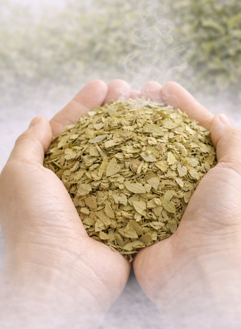 زهر ورق السدر المجفف (ورق سدر مجفف) – أوراق السدر المجففة | أوراق كاملة طبيعية ممتازة | نقي 100% للاستخدام في أعمال البستنة والبستنة والاستخدامات النباتية والأعشاب - Image 3