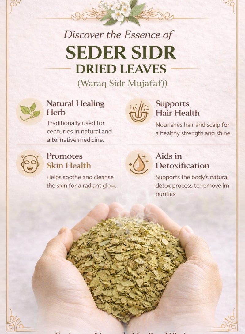 زهر ورق السدر المجفف (ورق سدر مجفف) – أوراق السدر المجففة | أوراق كاملة طبيعية ممتازة | نقي 100% للاستخدام في أعمال البستنة والبستنة والاستخدامات النباتية والأعشاب - Image 4