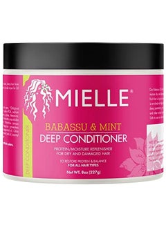 Arabest Hydrating Protein Mint Deep Treatment for Dry Frizzy Hair Repair  - Image 1