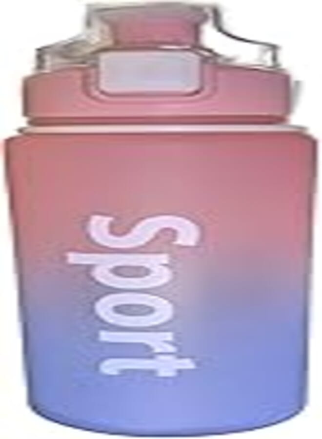 700 Ml Premium Double Wall Vacuum Insulated BPA Free Water Bottle, Sports Flask (D) 