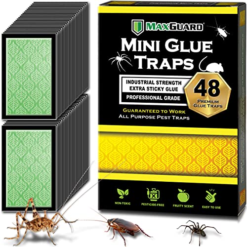 MaxGuard Mini Glue Traps (48 Traps) Non-Toxic Extra Sticky Glue Board Pre-Baited with Fruity Scent Attractant Trap & Kill Insects, Bugs, Spiders, Crickets, Scorpions, Cockroaches, Centipedes, Mice - Image 1