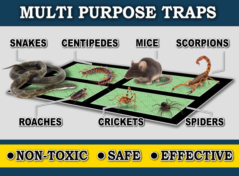 MaxGuard Mini Glue Traps (48 Traps) Non-Toxic Extra Sticky Glue Board Pre-Baited with Fruity Scent Attractant Trap & Kill Insects, Bugs, Spiders, Crickets, Scorpions, Cockroaches, Centipedes, Mice - Image 4