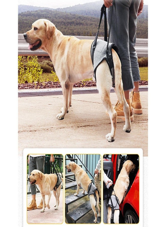 Dog Lifting Support Harness Auxiliary Belt Dog Sling for Back Legs Portable M - Image 2