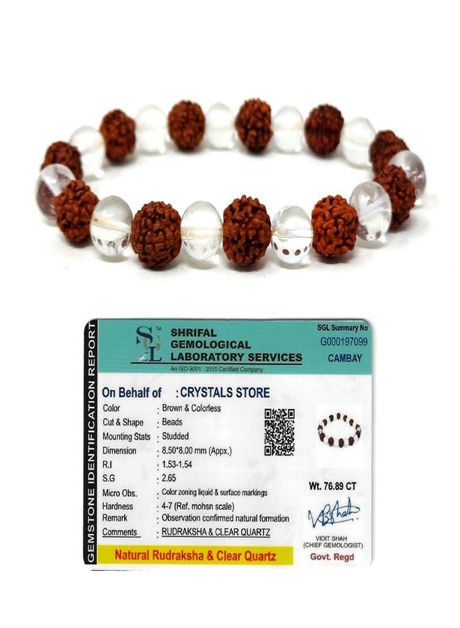 Orgonite Shop Original Rudraksha Sphatik Bracelet - Natural 5 Mukhi & Clear Quartz Crystal Beads - Shiv Shakti Healing Jewelry for Peace, Focus & Cooling - Men & Women - Image 1