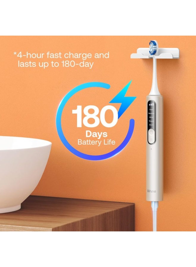 Bitvae BVS3 Tooth Brush With 4 Heads And Travel Case - Image 3