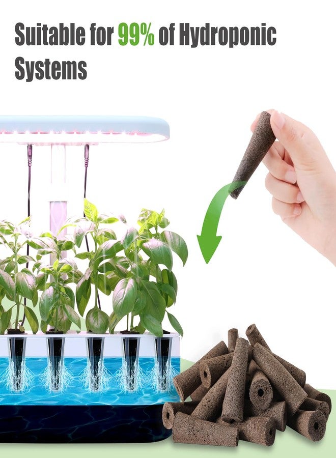 DRYADES Grow Sponges 50 Pack, Hydroponics Replacement Root Growth Sponges Compatible with Aero Garden iDOO and Most Other Brands - Image 5