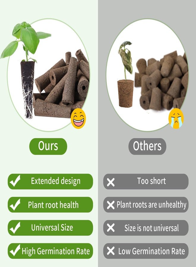 DRYADES Grow Sponges 50 Pack, Hydroponics Replacement Root Growth Sponges Compatible with Aero Garden iDOO and Most Other Brands - Image 4