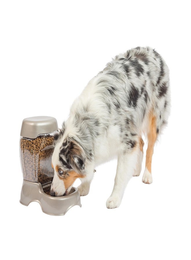 Petmate Pet Cafe Feeder Dog and Cat Feeder Pearlescent Colors 3 Sizes, Made in USA - Image 4