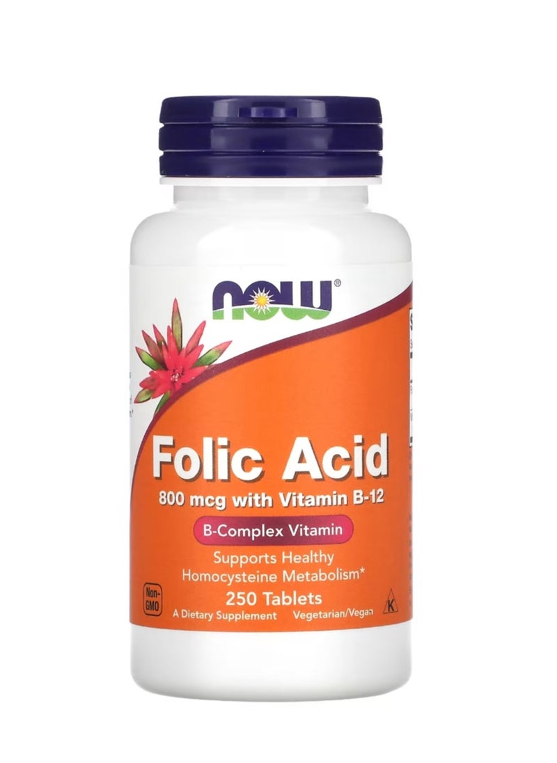 now Folic Acid 800 Mcg 250 Tablets  - Image 1