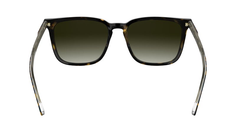 CALVIN KLEIN إطار كامل من الأسيتات نظارات شمسية كالفن كلاين Ck25507S N 5417 (235) هافانا داكنة - Image 5