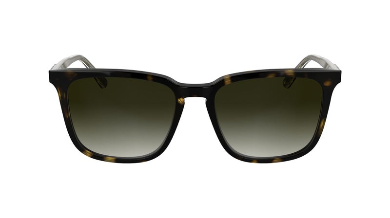 CALVIN KLEIN إطار كامل من الأسيتات نظارات شمسية كالفن كلاين Ck25507S N 5417 (235) هافانا داكنة - Image 1