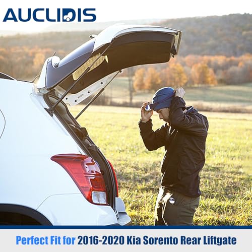 AUCLIDIS Liftgate Replacement Lift Support for Kia Sorento 2016-2020 Tailgate Rear Hatch W/O Power, Trunk Shock Strut Replace OE# 81771C6000 81771-C5000, Set of 2 by AUCLIDIS - Image 3