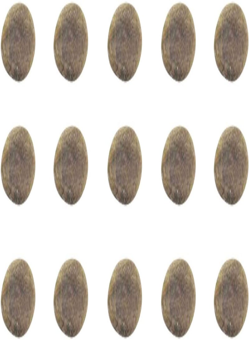 جي جوت بذور عشب البامباس، 500 قطعة/كيس، بذور عشب البامباس محبة للضوء، مقاومة للبرد، بذور نباتات مثمرة رائعة للفناء، هدية مثالية للبستنة الخارجية، ازرع حديقتك الخاصة - Image 5