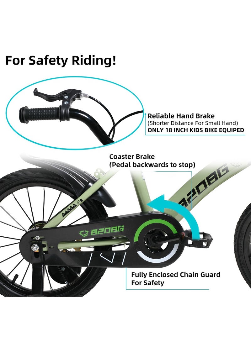 Toddler and Kids Bike, 16-Inch Wheels, Training Wheels Included, Boys and Girls Ages 4-7 Years Old, Rider Height 41-47-Inches, Green  - Image 3
