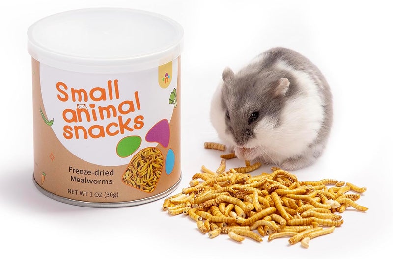 Niteangel Hamster Snacks & Treats Toy - Natural Freeze-Dried Mealworm Treats for Dwarf, Syrian, Robo Hamsters, Gerbils, Mice, Degus & Lemmings (1 oz) - Image 1