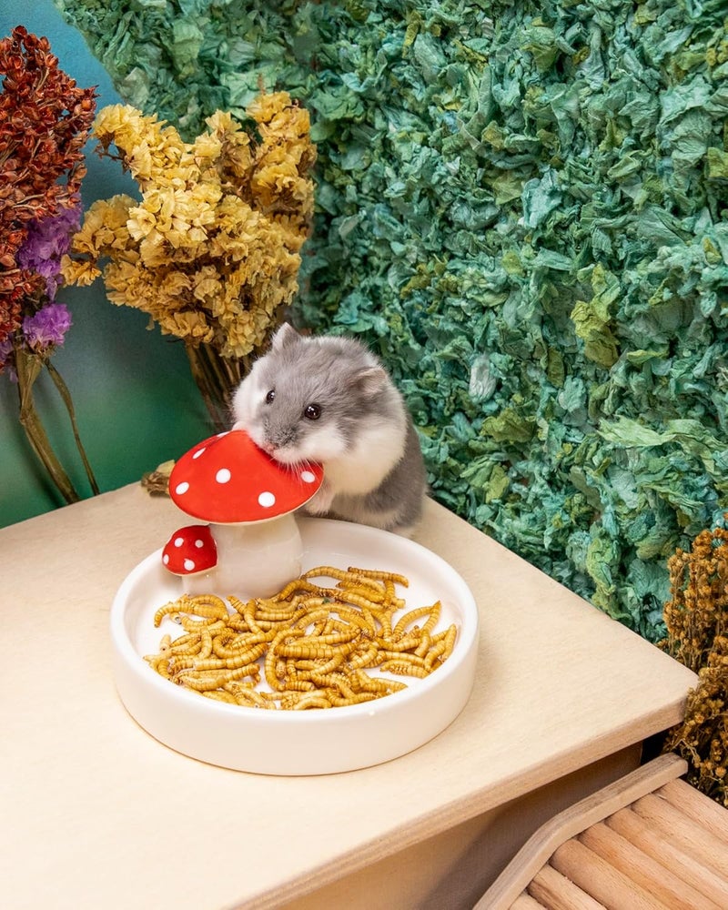 Niteangel Hamster Snacks & Treats Toy - Natural Freeze-Dried Mealworm Treats for Dwarf, Syrian, Robo Hamsters, Gerbils, Mice, Degus & Lemmings (1 oz) - Image 3