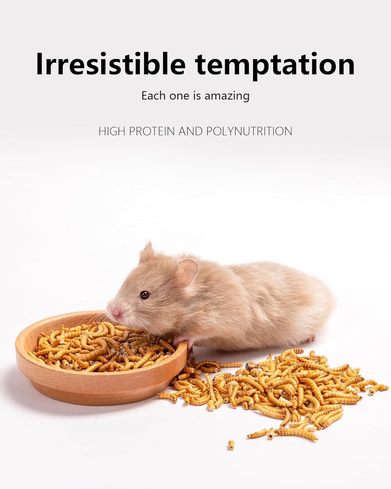Niteangel Hamster Snacks & Treats Toy - Natural Freeze-Dried Mealworm Treats for Dwarf, Syrian, Robo Hamsters, Gerbils, Mice, Degus & Lemmings (1 oz) - Image 2