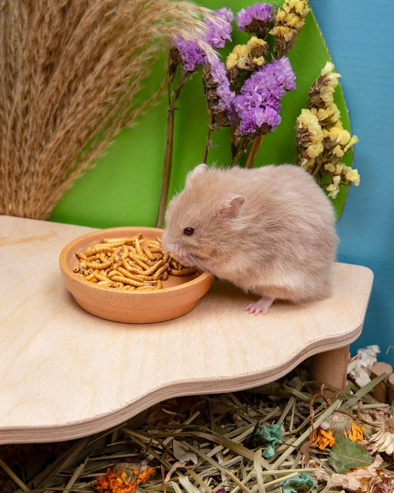 Niteangel Hamster Snacks & Treats Toy - Natural Freeze-Dried Mealworm Treats for Dwarf, Syrian, Robo Hamsters, Gerbils, Mice, Degus & Lemmings (1 oz) - Image 5