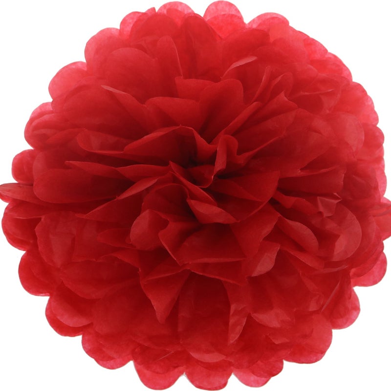 Lightingsky 10pcs DIY Decorative Tissue Paper Pom-poms Flowers Ball Perfect for Party Wedding Home Outdoor Decoration (10-inch Diameter  Red) - Image 1