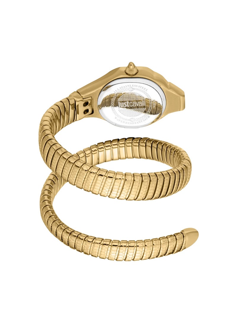 Just Cavalli Women Analog Quartz Watch with Stainless Steel Strap JC1L354M0035 - Image 3