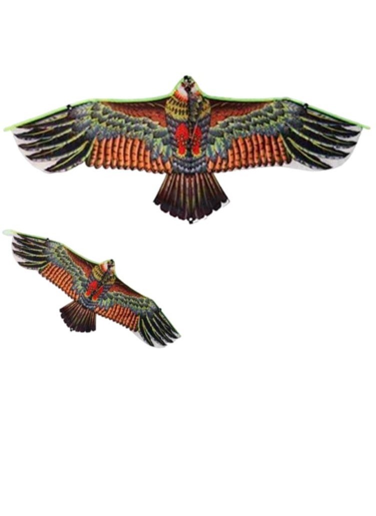 Verona - Falcon glider with handle and string - Image 1