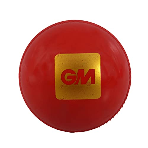 GM Trubounce Synthetic Cricket Ball for Traning (RED) - Image 2