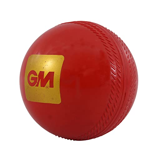 GM Trubounce Synthetic Cricket Ball for Traning (RED) - Image 3