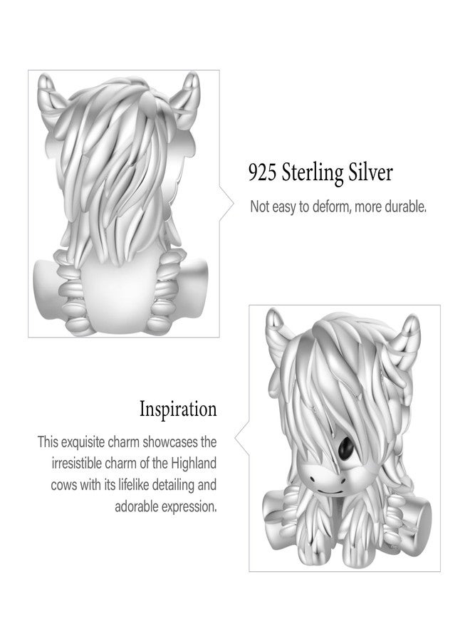 GNOCE Scottish Highland Cow Cute Love Charm For Women, S925 Sterling Silver 14K White Gold Plated Bead Charm Bracelet for Her, Jewelry Gift Animals - Image 4