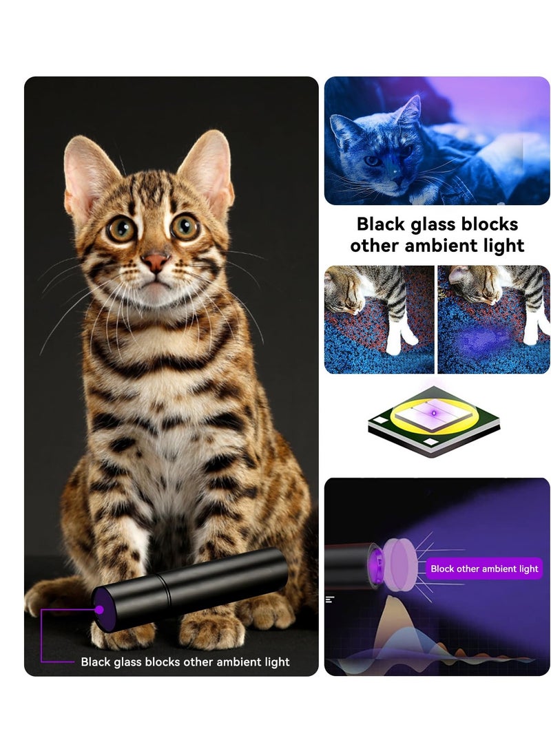 UV Flashlight Black Light, 365nm Portable Handheld Ultraviolet Flashlight, UV Black light Flashlight Cat Ringworm, Doctor Pet Urine Detector for Analyzing Skin Dog Cat Care Bed Bug Inspection - Image 3