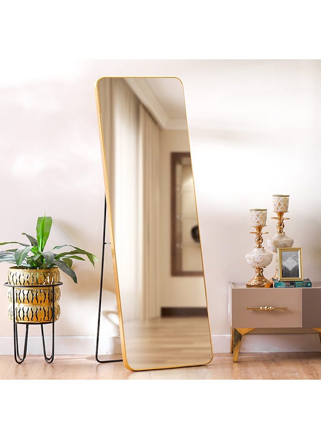 DANUBE HOME Petite Standing Rectangular Frame Mirror | Modern Decorative Mirror For Vanity Entryway Living Room Bedroom And Bathroom 50X150X3 CM  Brushed Gold  - Image 1