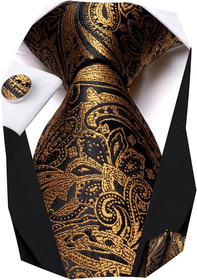 Hi-Tie Silk Paisley Ties for Men Necktie Pocket Square Cufflinks Set Foral Tie Sets Formal Business - Image 1