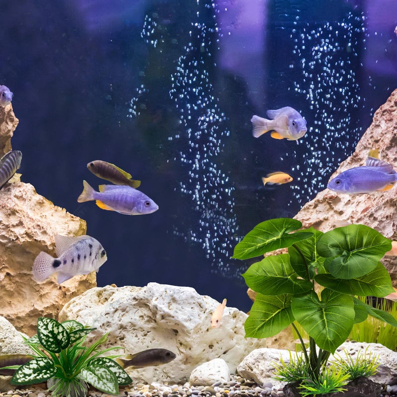 Moonorange Reptile Artificial Plants, Terrarium Plants Decorations Supplies, Aquarium Fish Tank Plant, Amphibian Habitat Hideout Tank Accessories (M Set-2pcs/D) - Image 5