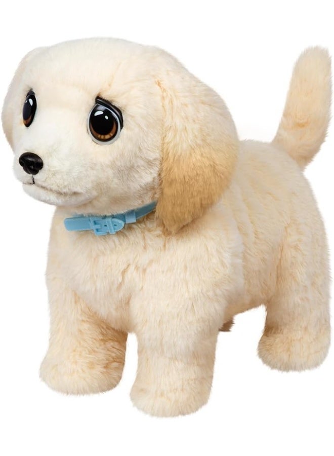 LITTLE LIVE PETS لعبة الحيوانات الأليفة الصغيرة أوشيز ديلوكس حزمة فردية كوبر 26679 - Image 5