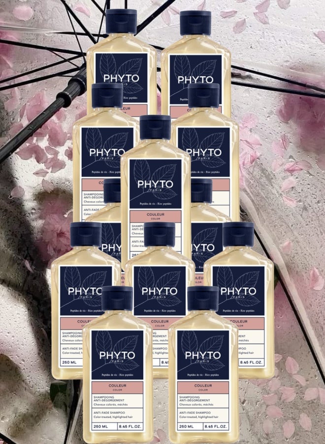 فيتو 12 قطع شامبو فيتو باريس المضاد للبهتان 250مل - Image 1