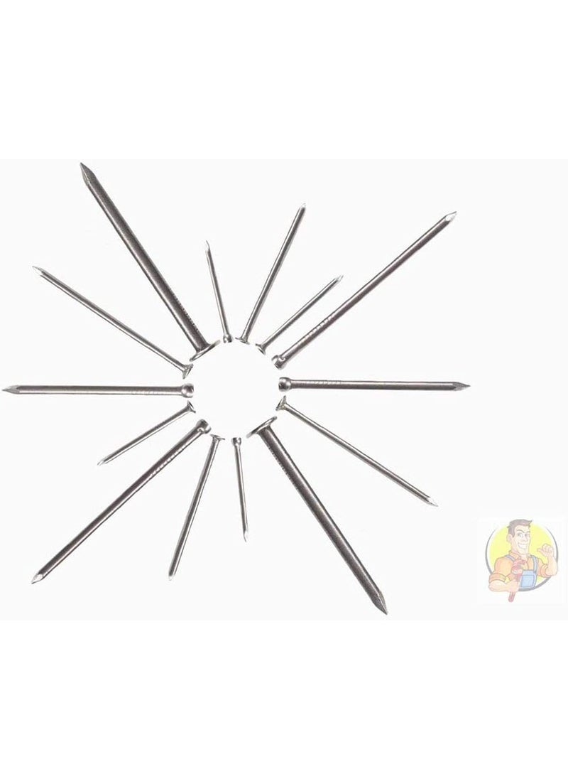 DIY Crafts Diy Crafts CTDIYHI47640 Nails Finish Wire Brad and Common Use This Kit Comes in an Organized Plastic Durable Nails Pack of 450 Small Nail Box Multicolor  - Image 2